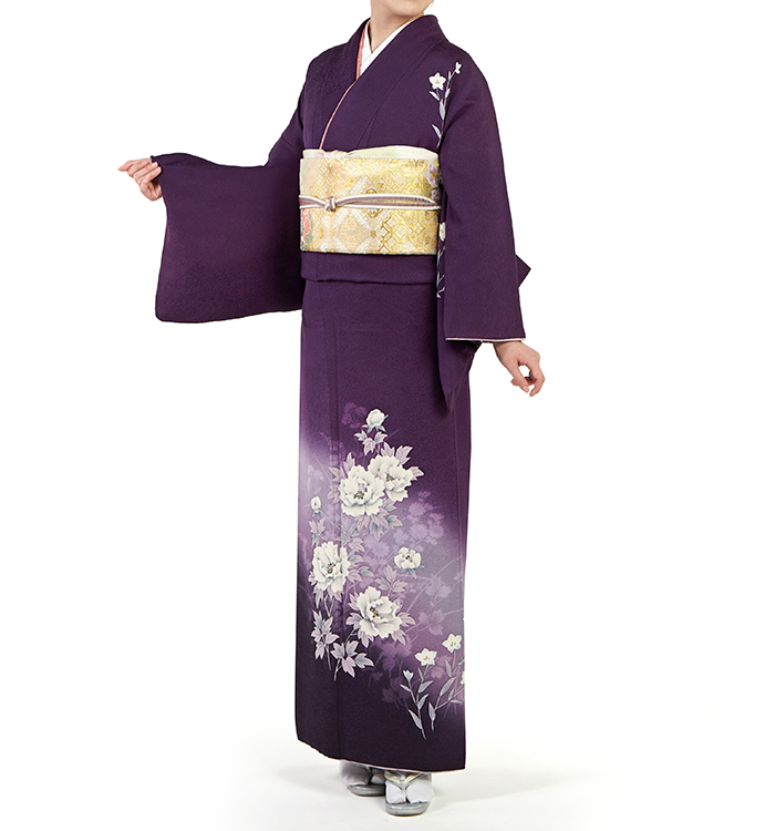 訪問着 No.AA-0742-Mサイズのレンタル｜きもの365