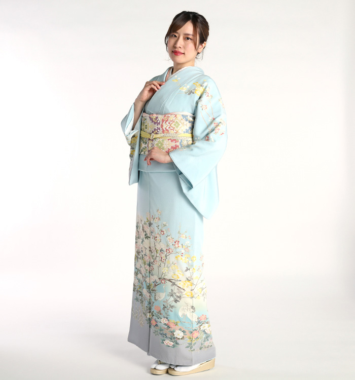 手描友禅作家 訪問着 No.AA-1627-Lサイズのレンタル｜きもの365