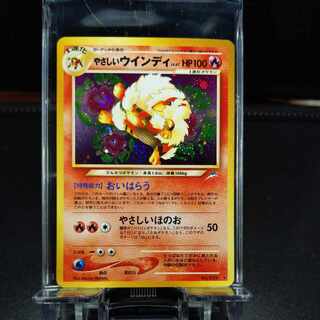 ウィンディ 旧裏」の激安通販 | magi