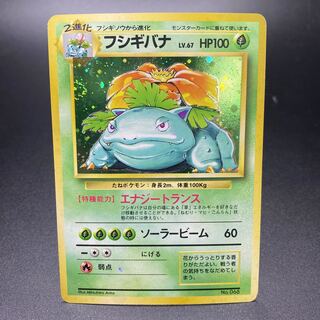 フシギバナ 旧裏 初版 マーク無し 1枚の通販 土日祝休 magi公式(委託