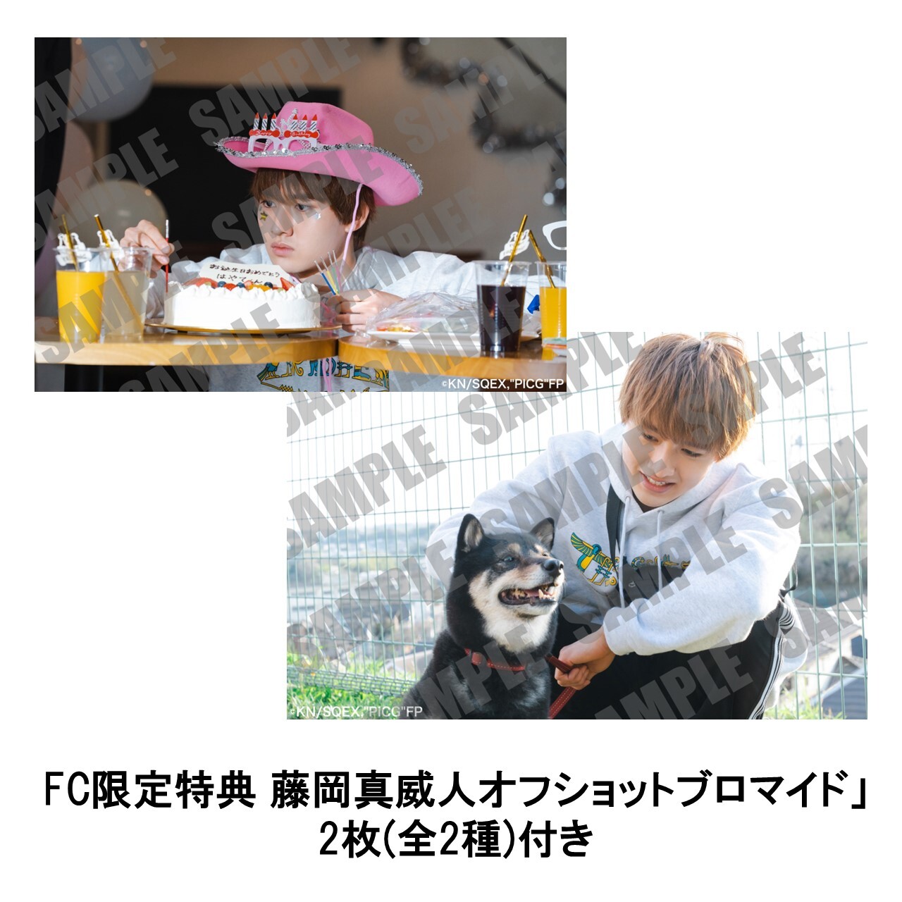 STORE | 藤岡ファミリーオフィシャルファンクラブ