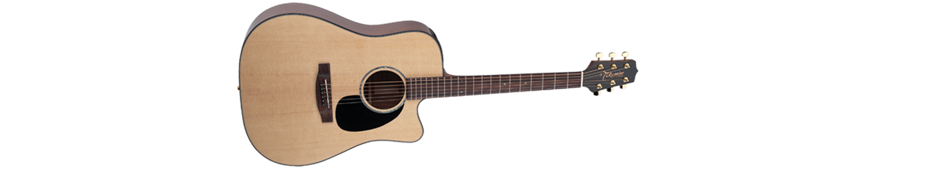 Takamine Guitars :: product-details