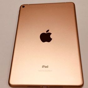 iPad mini 2019 (第5世代) 訳あり・ジャンク 8,999円 | ネット最安値の