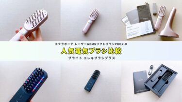 Brighte（ブライト）エレキブラシプラスのミッキー限定デザイン