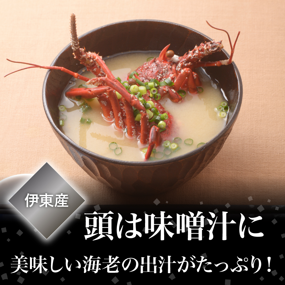 アワビ、サザエ、伊勢海老 伊東港 産地直送 ギフト 独自のアルコール