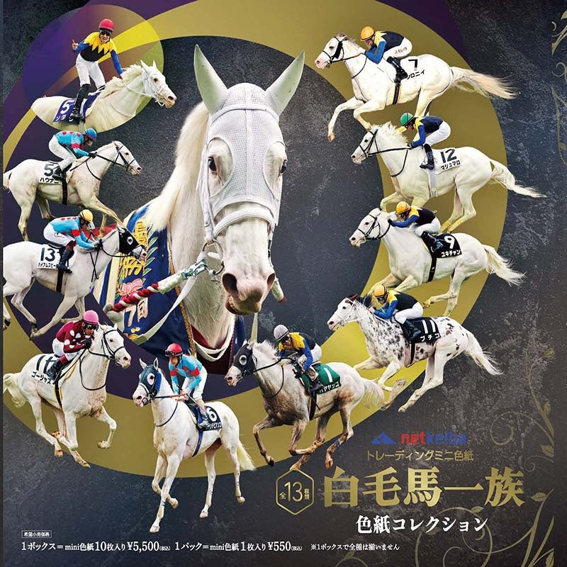 白毛馬一族色紙コレクションBOX｜netkeiba