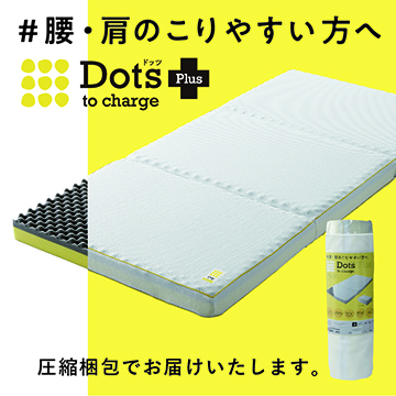 睡眠Labo]Dots ヘルシーピロー 60x35×10cm ホワイト 側地