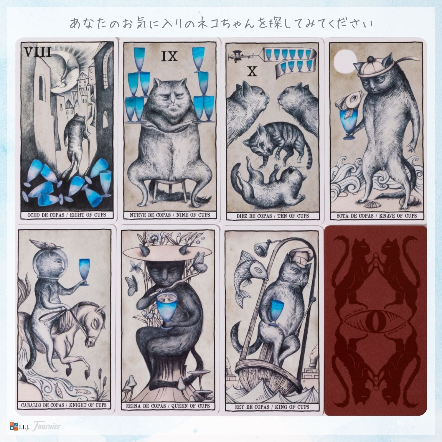 タロット キャッツ Tarot Cats – クロノスゲート公式通販