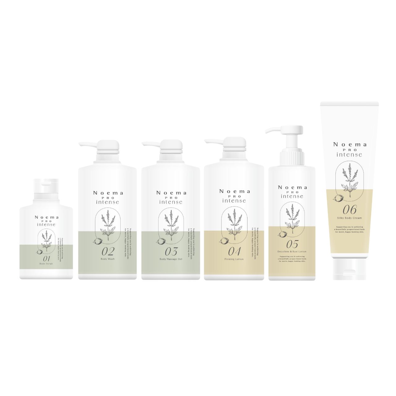 ダイアナ オンラインショップ / ノエマ プロ インテンス 6本セット