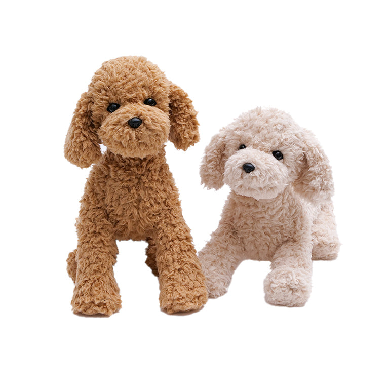 テディプードル ベージュ | DOGBASE YOKOHAMA