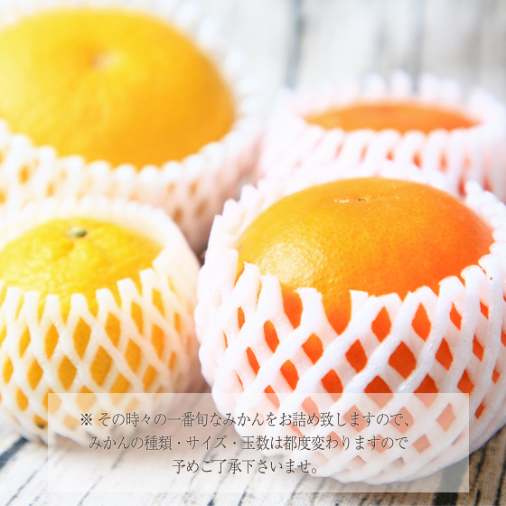 株式会社フレッシュつちやま / みかん 特撰ファミリーセット（大