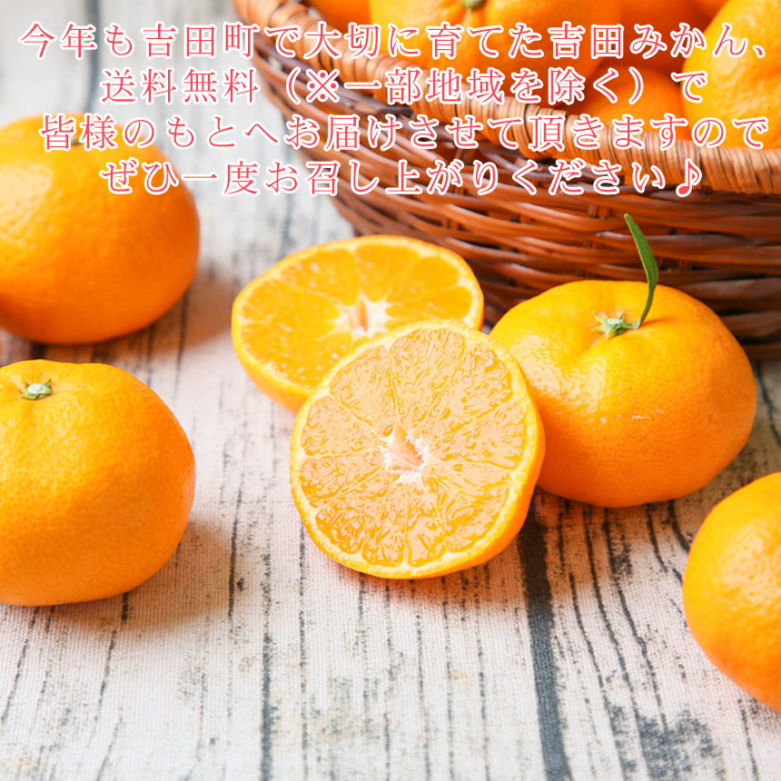 C107 バラのミカン畑 新刊セット 横山いしみ 会場限定 豊富な，HOT