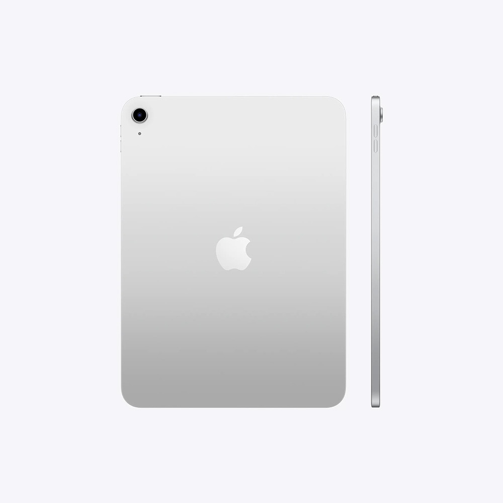 極美品】Apple iPad (A16) ⭐︎256GB⭐︎Wi-Fi⭐︎シルバー Apple 11