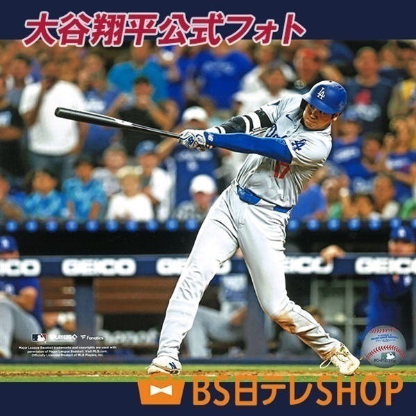 世界限定16セット「イチロー」×「大谷翔平」直筆サイン入りWBC