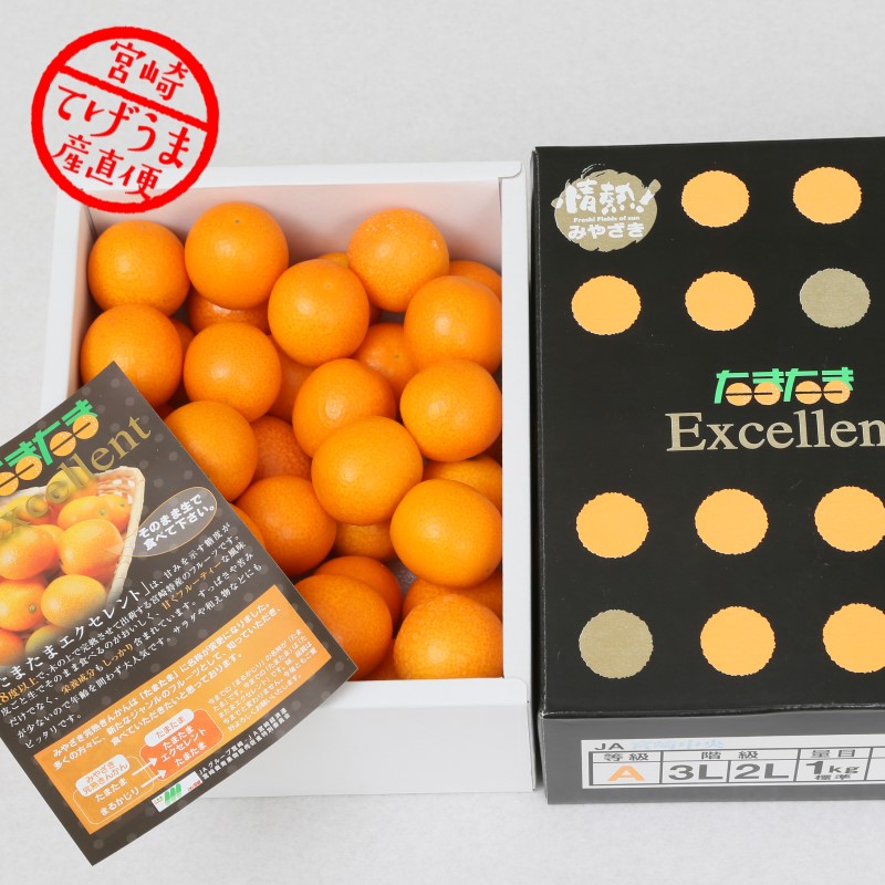 生でまるかじり！完熟きんかん「たまたま エクセレント」