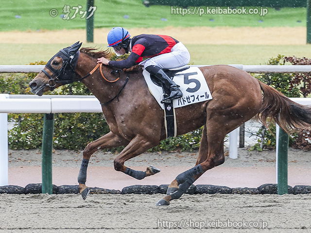競馬ブックネットSHOP / カラープリント(アルミ枠付き)