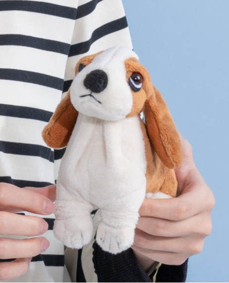 ステイクラシックパピー - ハッシュパピーアパレル公式通販サイト