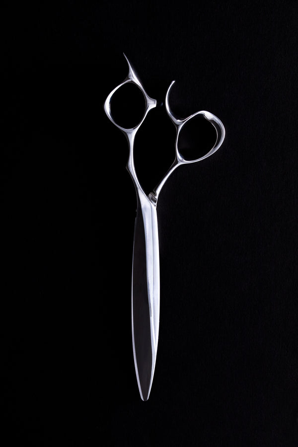 SLIDE CUT SCISSOR (スライドシザー） – HIKARI Corporation