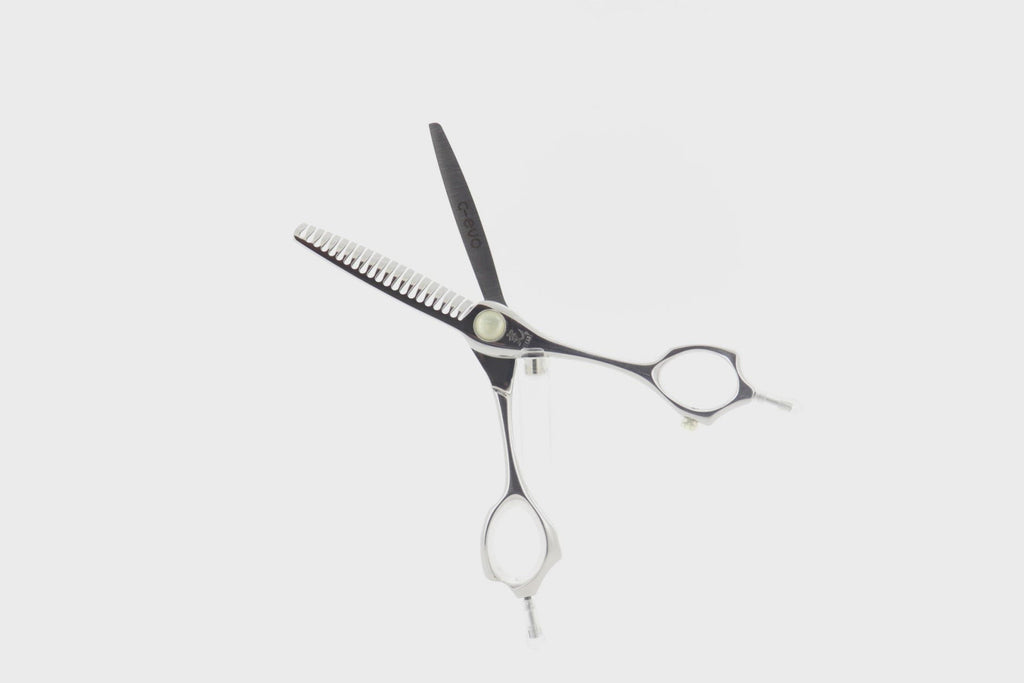 c-evo – HIKARI Corporation