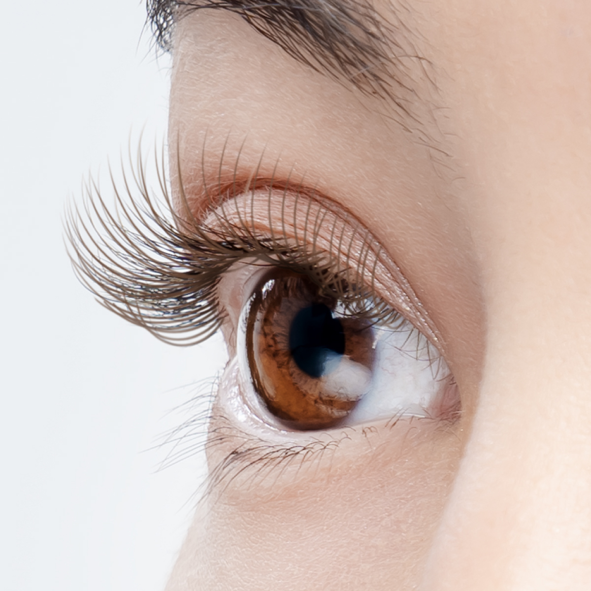 ディープオリーブ】フラットマットラッシュ ロイッシュカラー｜AUDREY