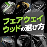 SIM2 マックス フェアウェイウッド Speeder 661 Evolution VII