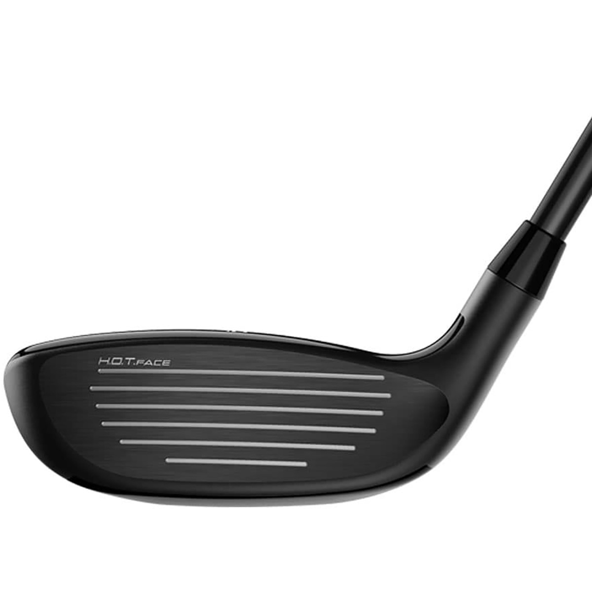 LTDx ユーティリティ Speeder NX for Cobra レディス(ユーティリティ