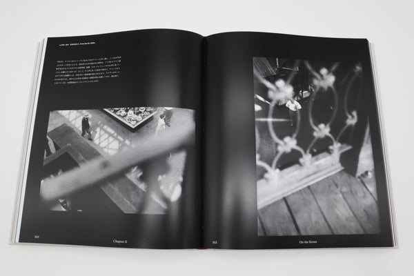 ソール・ライター Saul Leiter The Centennial Retrospective – 青幻舎