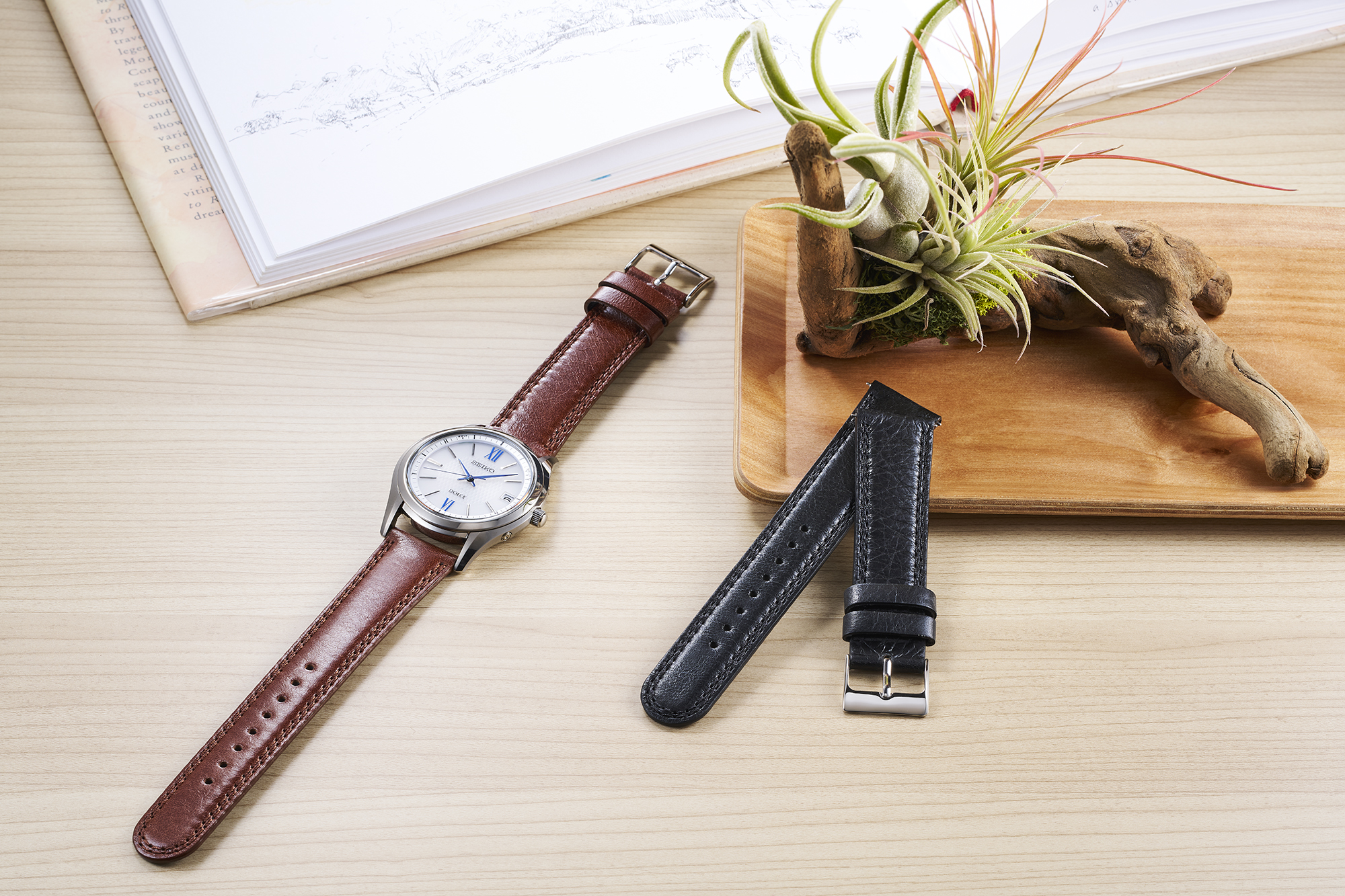 SPECIAL EDITION | セイコータイムラボ オンラインショップ