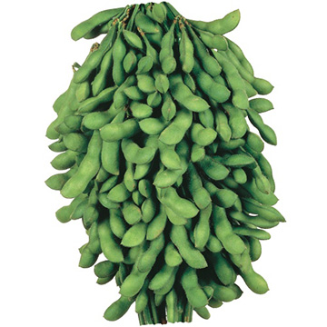 733-AED163.jpg?202602031613