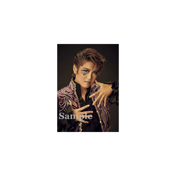 ブロマイドオーダーサービス/2018年公演/『白鷺の城』『異人たちの