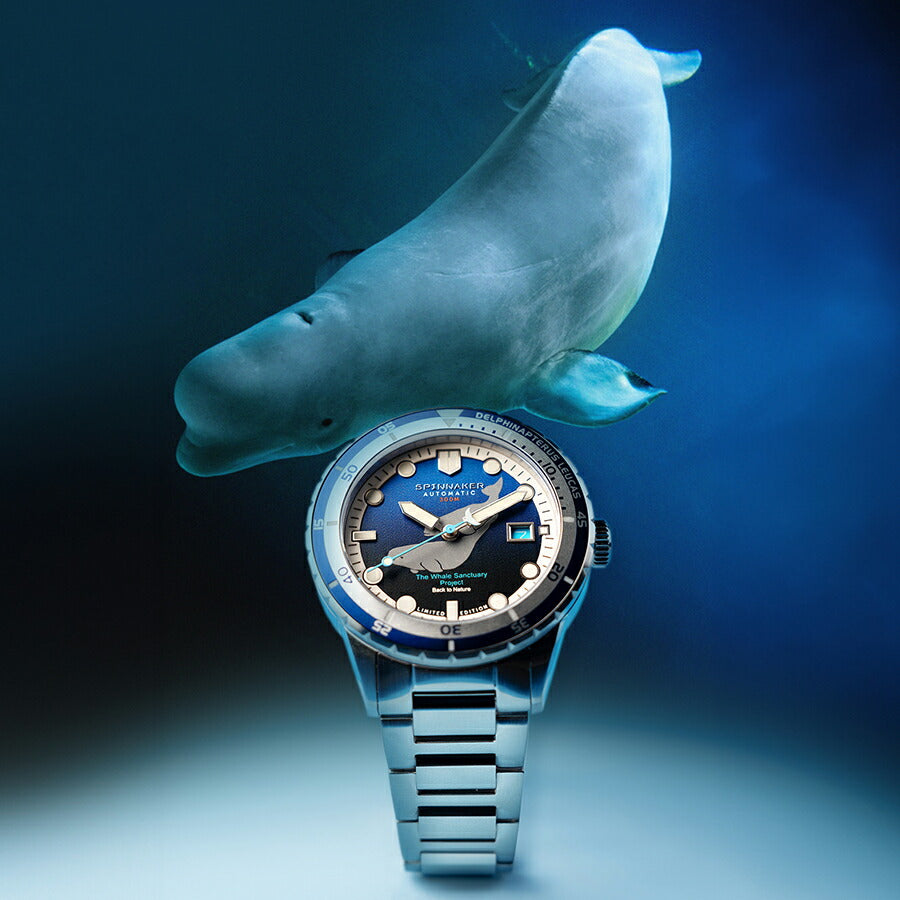 スピニカー HASS ハス ホエール サンクチュアリ プロジェクト 限定