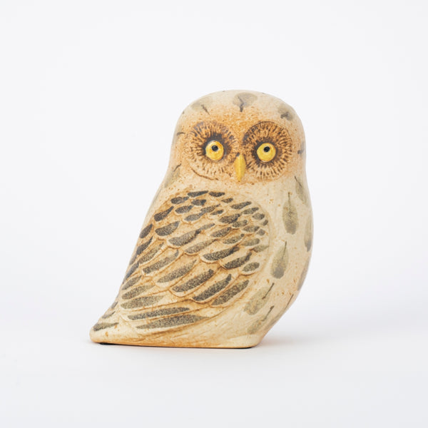 lumi ルミ バード owl フクロウ Lumi バード Owlet owl フクロウ Lumi