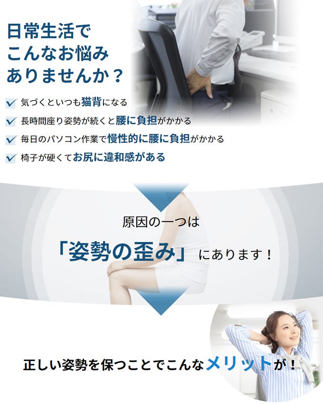 MTG スタイルスマート ブラウン (1個) 椅子 座椅子 イス クッション