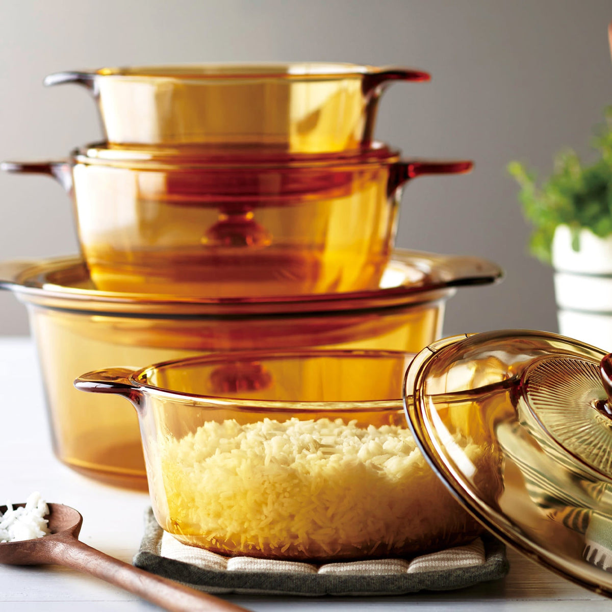 VISION CORNINGビジョン 耐熱ガラス フライパン 両手鍋 片手鍋 楽天