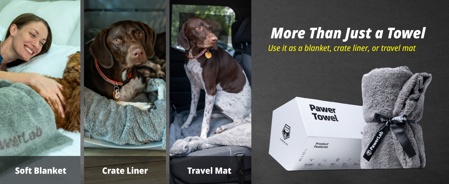 DOG in the PWO タオル&CDセット DOG in the PWO タオル&CDセット DOG