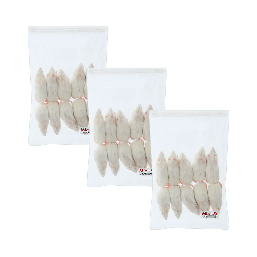 楽天市場】【2／20限定】当選確率2分の1！1等最大100％ 冷凍