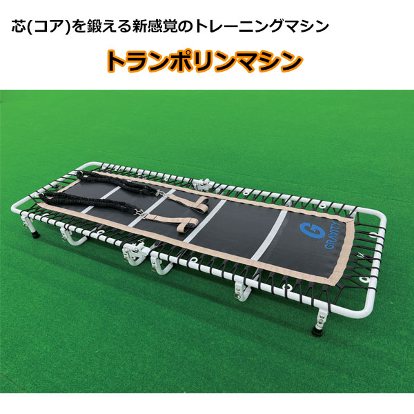 楽天市場】テクノジム アクティブシッティング バランスボールチェア