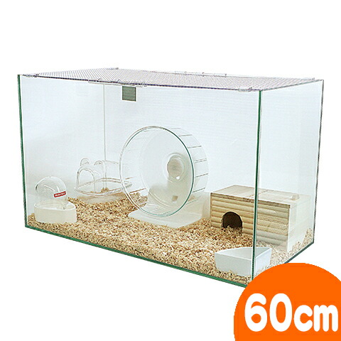 楽天市場】600ハムスターHIGH ゴールデンハムスター飼育セットII【A
