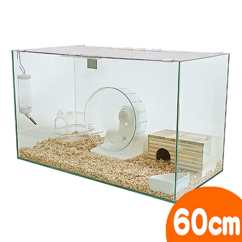 楽天市場】シャイニー45 ベーシック : 小動物専門店ヘヴン