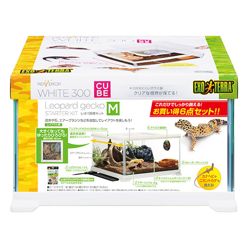 楽天市場】○【エキゾテラ】レオパ飼育キット GTP3030 EXOTERRA