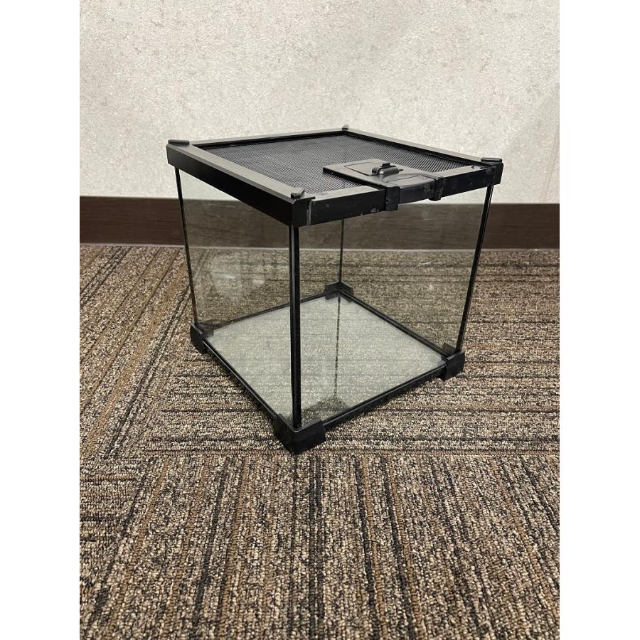 楽天市場】爬虫類 飼育ケース 30×30×30 ガラス 昆虫飼育ケース クモ