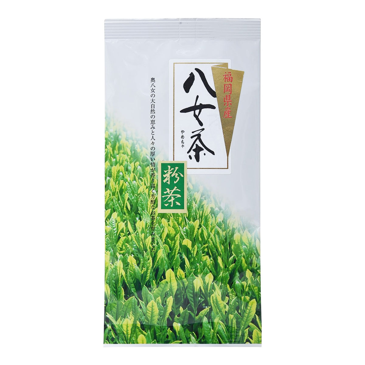 抹茶 matcha 星野製茶園 100g 八媛の白 楽天市場】抹茶 御家元御好