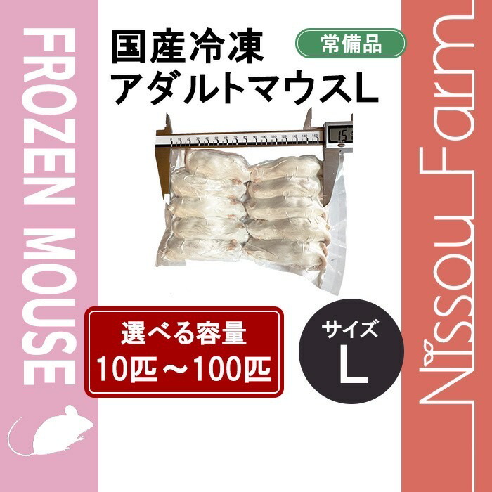 楽天市場】国産冷凍マウス ファジーL 即日発送 同梱可 選べる容量 10匹
