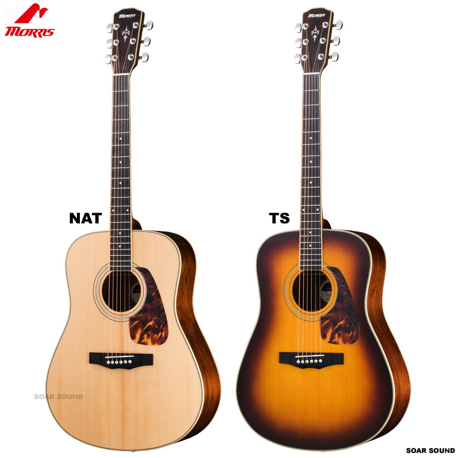 楽天市場】モーリス アコースティックギター MORRIS F-021 アコギ