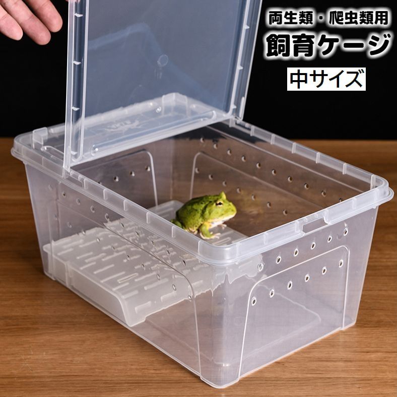 楽天市場】送料無料 飼育ケース プラスチックケース プラケース 両生類
