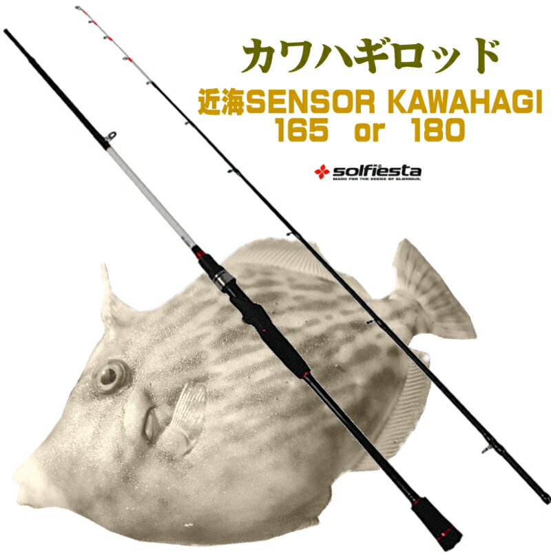 楽天市場】ダイワ カワハギ X MH-180・R (船竿) : フィッシング遊