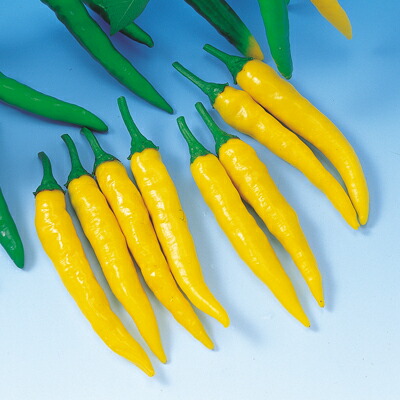 楽天市場】【造花・夏】赤とうがらし・青とうがらし / トウガラシ
