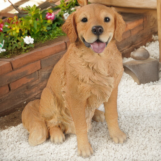 楽天市場】犬 動物 いぬ ゴールデン・レトリーバー 本物 リアル
