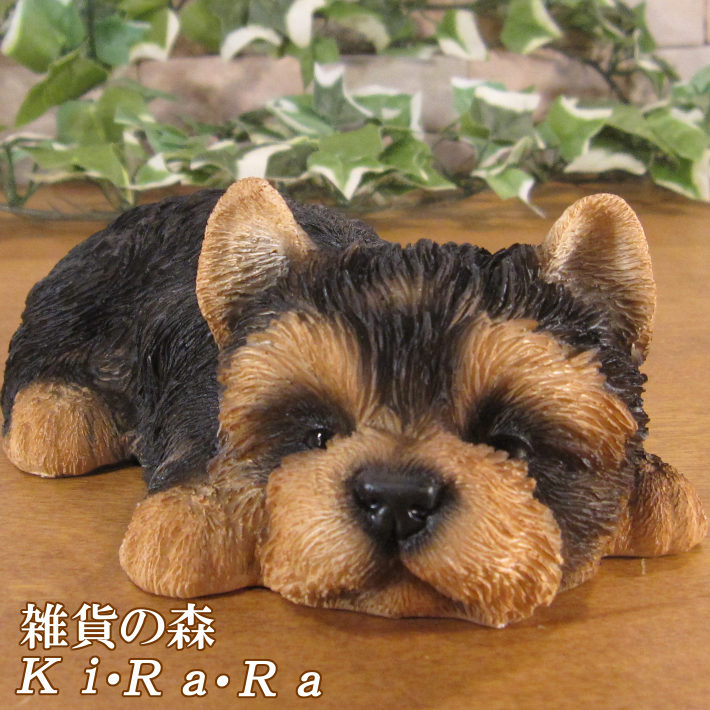 楽天市場】犬の置物 ヨークシャーテリア ヨーキー 子犬 リアルな犬の