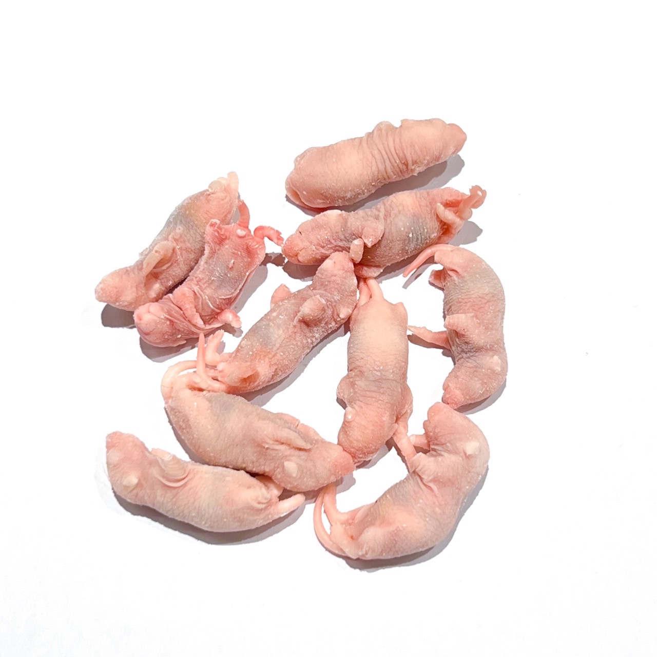 ひ 送料無料 冷凍ピンクマウスL200匹 ピンクマウスM100匹 ひ 送料無料